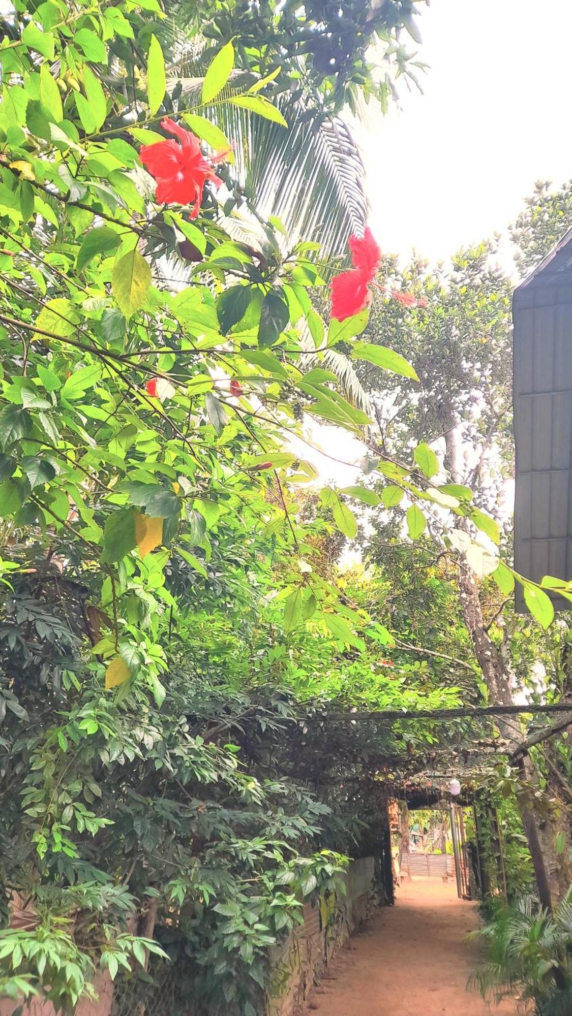Sok Phen Homestay Сиемрип Экстерьер фото