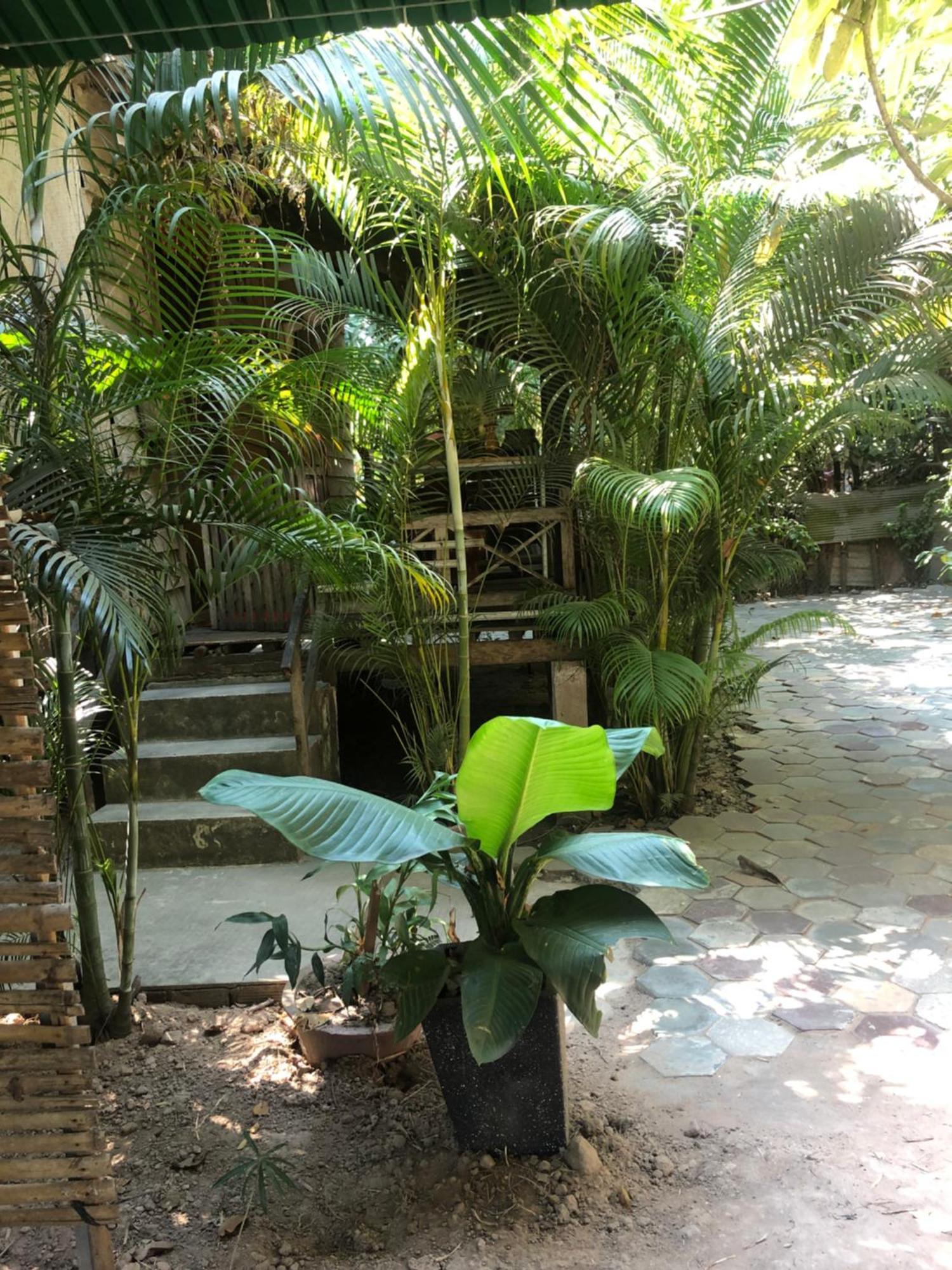 Sok Phen Homestay Сиемрип Экстерьер фото